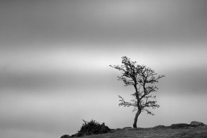 Blackness (Scotland, 2024)