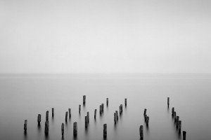 Valli di Comacchio (Italy, 2024)