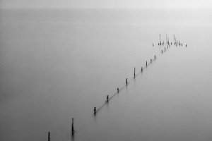 Valli di Comacchio (Italy, 2024)