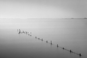 Valli di Comacchio (Italy, 2024)