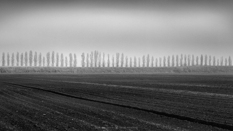 Valli di Comacchio (Italy, 2024)