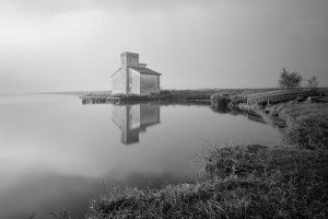 Valli di Comacchio (Italy, 2024)