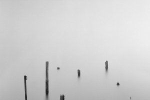 Valli di Comacchio (Italy, 2024)