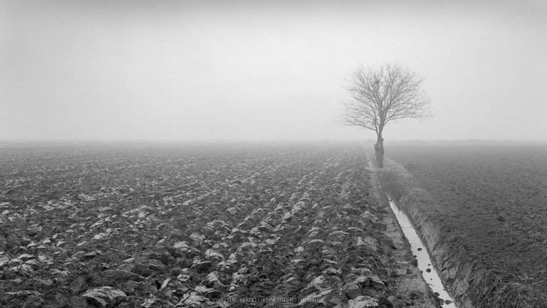 Valli di Comacchio (Italy, 2024)