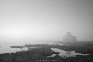 Valli di Comacchio (Italy, 2024)