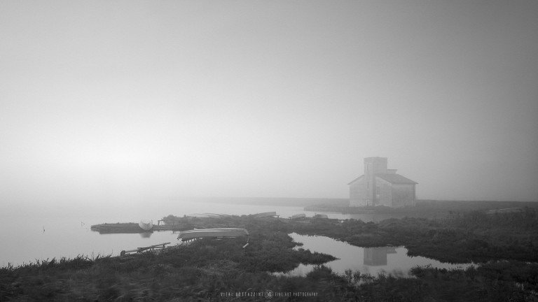 Valli di Comacchio (Italy, 2024)