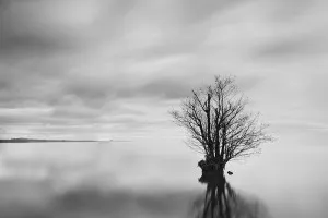 Lough Neagh (Northern Ireland, 2025)