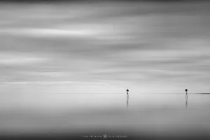 Lough Neagh (Northern Ireland, 2025)