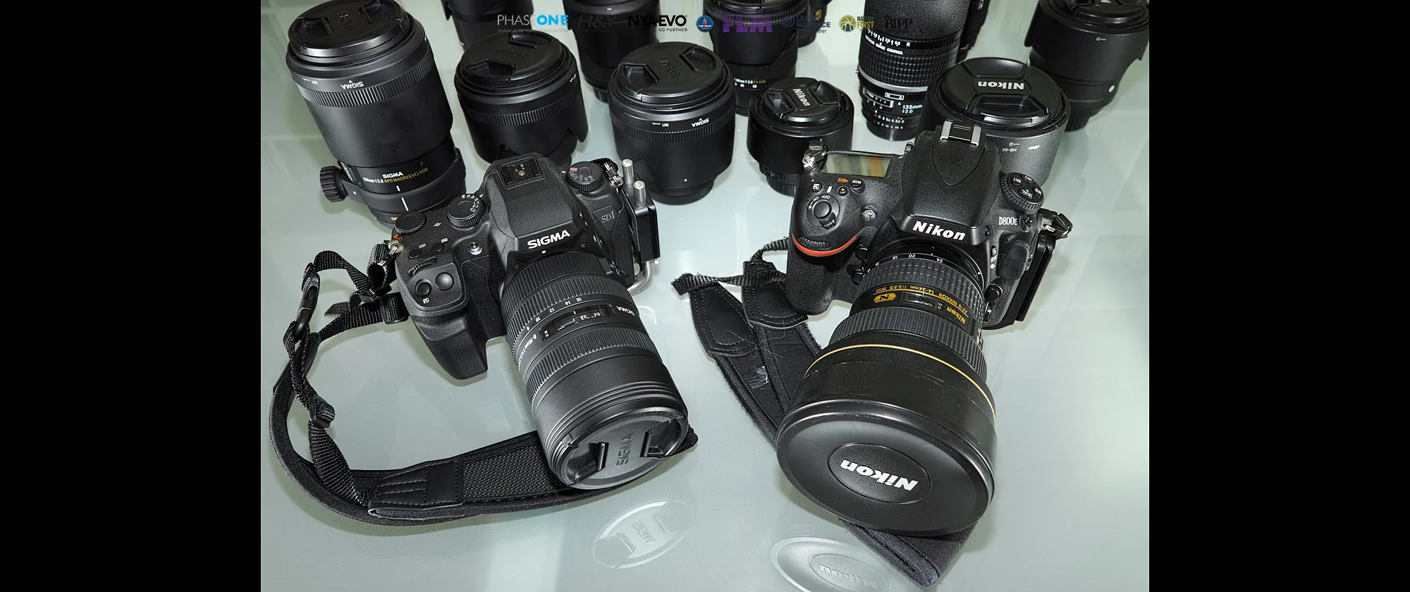 Nikon D800E vs Sigma SD1 Merrill
