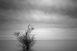 Lough Neagh (Northern Ireland, 2026)