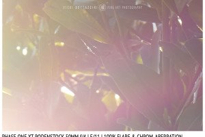 Phase One XT Rodenstock 50mm f/4 | Flare & CA | Detail | f/11