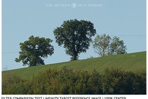 Filter Comparison Review | Sharpness | Reference Image | 100% Center