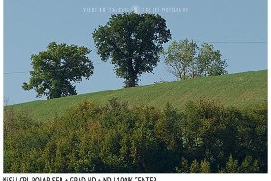 Filter Comparison Review | Sharpness | NiSi CPL + Grad ND + ND | 100% Center