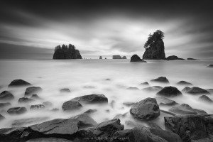 Second Beach, WA (USA, 2023)