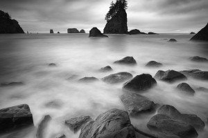 Second Beach, WA (USA, 2023)