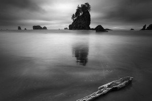 Second Beach, WA (USA, 2023)