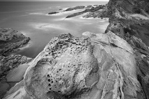 Shore Acres State Park, OR (USA, 2023)
