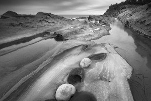 Shore Acres State Park, OR (USA, 2023)