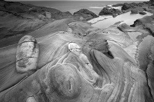 Shore Acres State Park, OR (USA, 2023)