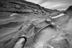 Shore Acres State Park, OR (USA, 2023)