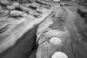 Shore Acres State Park, OR (USA, 2023)