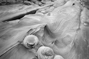 Shore Acres State Park, OR (USA, 2023)