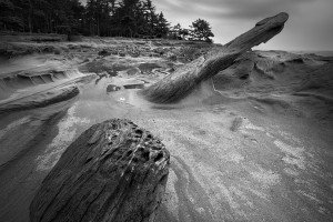 Shore Acres State Park, OR (USA, 2023)