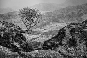 Quiraing (Scotland, 2015)