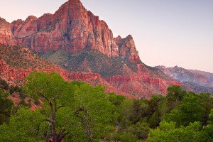 The Watchman, Zion (USA, 2010)