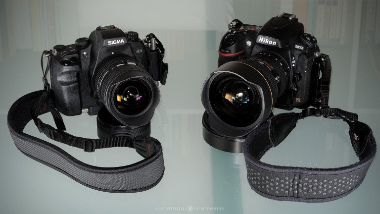 Nikon D800E vs Sigma SD1 Merrill