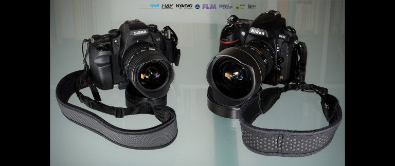 Nikon D800E vs Sigma SD1 Merrill