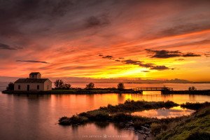 Valli di Comacchio (Italy, 2016)
