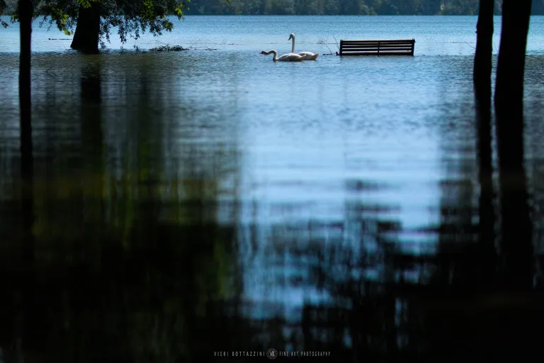 Mantua (Italy, 2013)