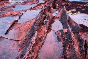 Arran's Fossil Sands (Scotland, 2016)