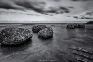Arran's Fossil Sands (Scotland, 2016)