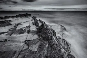 Arran's Fossil Sands (Scotland, 2016)