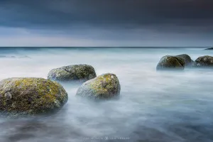 Arran's Fossil Sands (Scotland, 2016)
