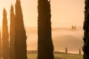 Madonna di Vitaleta Val d'Orcia (Italy, 2017)
