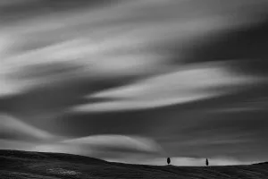 Val d'Orcia Cypresses (Italy, 2017)