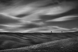 Val d'Orcia's cypresses (Italy, 2017)
