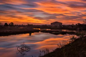 Valli di Comacchio (Italy, 2018)