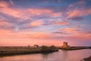 Valli di Comacchio (Italy, 2018)