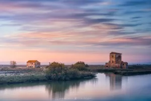Valli di Comacchio (Italy, 2018)