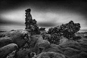 Lava fields (Iceland, 2019)