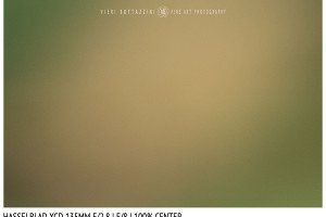 Hasselblad XCD 135mm | Close Focus | Center | f/8