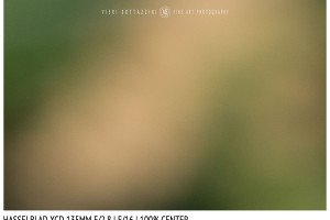 Hasselblad XCD 135mm | Close Focus | Center | f/16