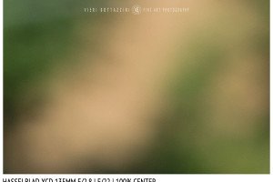 Hasselblad XCD 135mm | Close Focus | Center | f/22