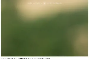 Hasselblad XCD 90mm | Close Focus | Center | f/11