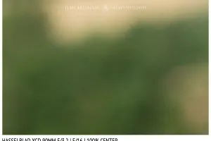 Hasselblad XCD 90mm | Close Focus | Center | f/16
