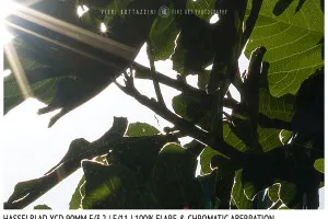 Hasselblad XCD 90mm | Flare & CA | Detail | f/11